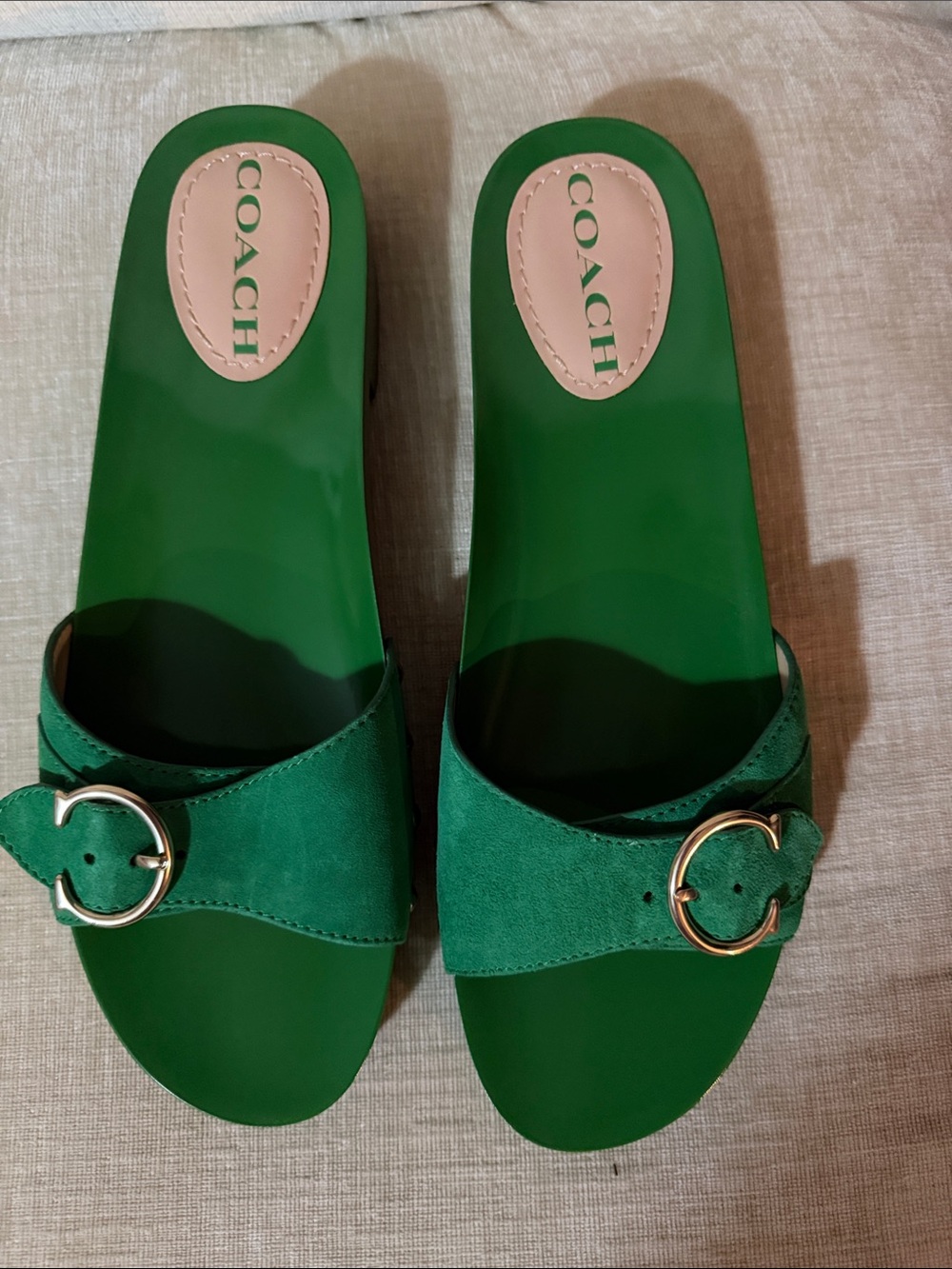 COACH Green Suede Slide Sandals with Gold Buckles